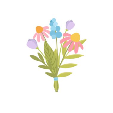 Bahar tarlası çiçeği. Meadow çiçek dalı, gövde. Çiçek açan bir bitki. Narin narin narin bitki, basit kır çiçeği. Beyaz arkaplanda izole edilmiş botanik doğal düz vektör çizimi