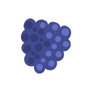 Kek meyvesi. Doğal tropikal böğürtlen, vitamin. Vejetaryen mutfak eli çizilmiş, organik meyve veya vejetaryen yemeği. Beyaz arkaplanda izole edilmiş vektör simgesi