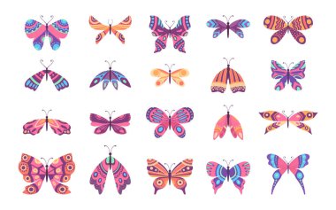 Şirin kelebekler. Dekoratif bahar kelebeği renkli kanatlar. Kral, güve ve yusufçuk. Tropik güzel çiçekli böcek düz vektör seti. Bahar Kralı ve Kelebeği, Böcek Hayvanı Çizimleri