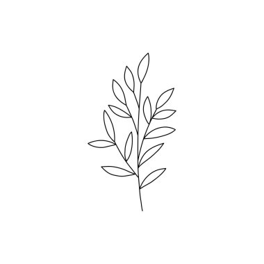 Çiçek dalı karalaması. El yapımı bitki yapraklı bitki. Yaz ve bahar kırsal kesim. Doğal dekoratif yaprak çizimi. Düğün tebrik kartı ikonu için çiçekli izole unsurlar