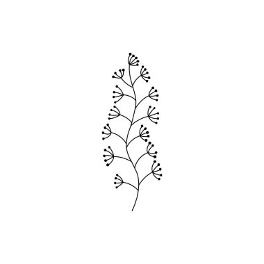 Çiçek dalı karalaması. El yapımı bitki yapraklı bitki. Yaz ve bahar kırsal kesim. Doğal dekoratif yaprak çizimi. Düğün tebrik kartı ikonu için çiçekli izole unsurlar
