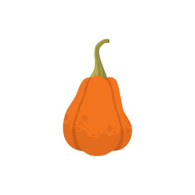 Çizgi film balkabağı, Cadılar Bayramı kabağı, sonbahar hasat kabağı. Balkabağı, kabak ve vektör sembolü çizimi. Sonbahar Şükran Günü ve Cadılar Bayramı balkabağı simgesi beyaz arkaplanda