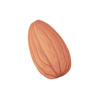 Çizgi film tohumu. Organik çiğ ayçekirdeği, kabak çekirdeği ve çam fıstığı, vejetaryen diyet düz vektör çizim ikonu için lezzetli atıştırmalıklar. Beyaz arka planda lezzetli tohum