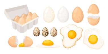 Çiğ yumurta. Çizgi film tavuğu ya da bıldırcın yumurtası tepsisi, eko protein yemeği kahvaltısı yarısı kızarmış yumurta kabuğu, kümes hayvanları protein sarısı kahvaltısının doğal besin örnekleri.