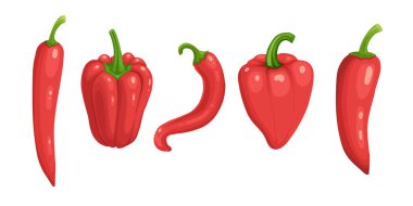 Yakın çekim soğuk biber. Sıcak kırmızı biber, çizgi film Meksika biberi ya da kırmızı biber illüstrasyonu, vektörler kırmızı ikon işaretleri tasarımın için beyaz arkaplanda izole edilmiş..