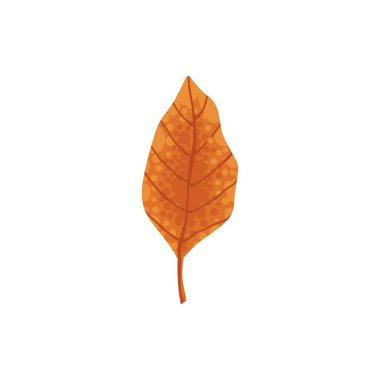 Sonbahar elementi. Yapraklar, meşe palamudu, kestane ve böğürtlen. Sarı, turuncu ve kırmızı, yeşil ağaç yaprakları sonbahar mevsimi, el yapımı elementler. Vektör illüstrasyonu