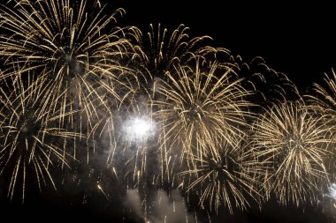 The firework isolated display for celebration happy new year and merry christmas on black isolated background in Brazil
