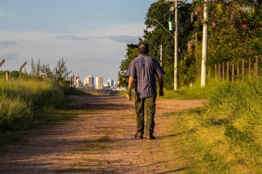 Elinde biberiye fideleri olan orta yaşlı bir adam kırsal bir yolda yürüyor Marilia şehrinin merkezindeki binalara doğru.,