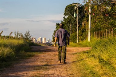Marilia, Sao Paulo, Brezilya, 22 Mart 2023. Elinde biberiye fideleri olan orta yaşlı bir adam kırsal bir yolda yürüyor Marilia şehrinin merkezindeki binalara doğru.