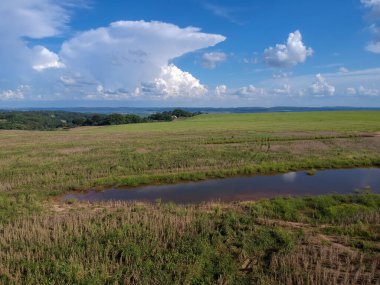 Olgun bir soya tarlasının havadan görünüşü, hasat için hazır, ama tarlaya yayılmış bir çok farklı yabani otlarla, Brezilya 'da baklagillerin verimliliğinde büyük bir azalmaya yol açan bir gerçek.