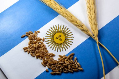 Arjantin bayrağı olan buğday kapsülleri ve tahıllar. Buğday, Arjantin ve Brezilya arasındaki dış ticarette ihraç edilen başlıca ürünlerden biridir..