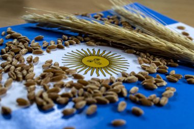 Arjantin bayrağı olan buğday kapsülleri ve tahıllar. Buğday, Arjantin ve Brezilya arasındaki dış ticarette ihraç edilen başlıca ürünlerden biridir..