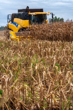 Mato Grosso, Brezilya, 1 Mayıs 2008. New Holland, Brezilya 'nın Mato Grosso eyaletindeki bir çiftlikte hasat mahsullerini birleştiriyor.