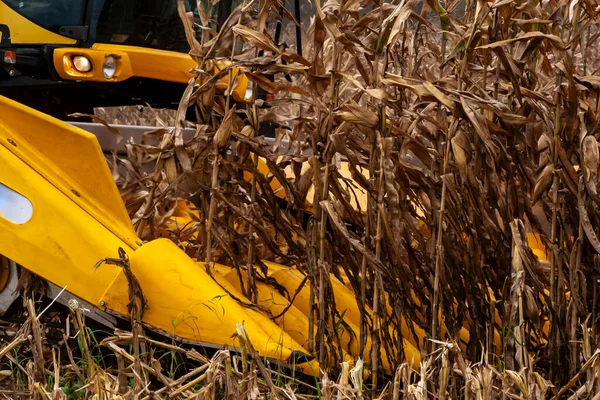 Kombajn Zbożowy Zbiera Kukurydzę Gospodarstwie Rolnym Stanie Mato Grosso Brazylia — Zdjęcie stockowe