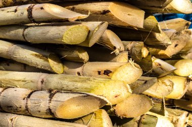 Brezilya 'daki sokak pazarında meyve suyunu çıkarmak için taze şeker kamışı.