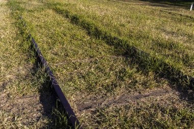 Brezilya 'daki demiryolu şebekesinden.