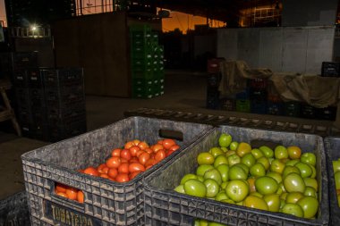 Marilia, Sao Paulo, Brezilya, Haziran 01, 2023. Kırmızı ve yeşil domatesli plastik kutular, Marilia 'daki Ceagesp' te bir öğleden sonra, bir izin sahibinin sattığı bir 