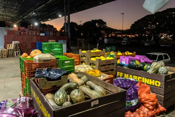 Marilia Sao Paulo Brazil June 2023 Коробки Фруктами Овощами Отделены — стоковое фото