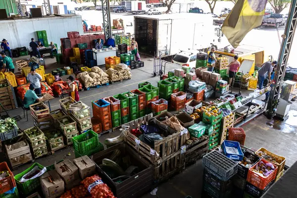 巴西圣保罗玛丽利亚 2023年9月4日位于玛丽里耶市北部的Ceagesp棚屋是销售水果 树叶和蔬菜等产品的大本营 — 图库照片