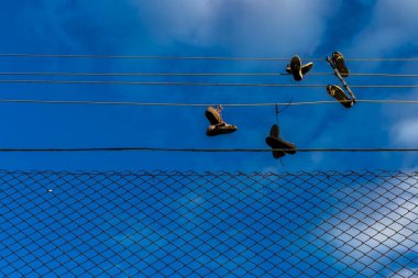 Brezilya 'da bir gökyüzüne karşı tel örgü örgüler ve eski ayakkabılar asılıydı. Ayakkabı fırlatma