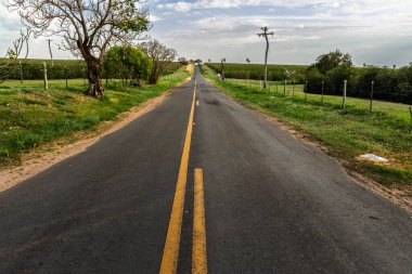 Brezilya 'nın kırsal kesiminde boş asfalt yol