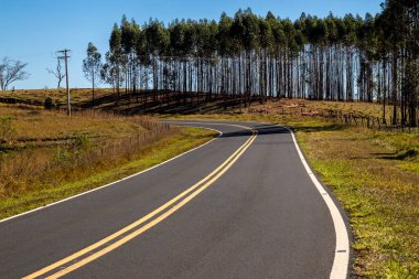 Brezilya 'nın kırsal kesiminde boş asfalt yol