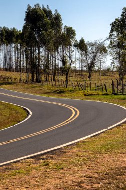 Brezilya 'nın kırsal kesiminde boş asfalt yol
