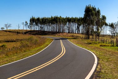 Brezilya 'nın kırsal kesiminde boş asfalt yol