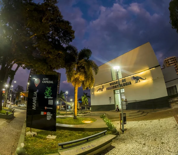 stock image Marilia, Sao Paulo, Brazil. August 16, 2023. Night view of the facade of the Museum of Paleontology with a life-size replica of a Titanosaurus, baptized as Dino Tita, in the center of the city of Marilia