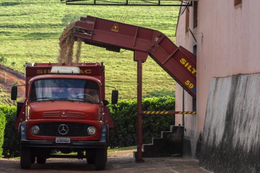 Cravinhos, SP, Brezilya, 18 Haziran 2008. Kamyon, Cravinhos, Sao Paulo eyaletindeki sığırlara yem olarak dağıtmak için şeker kamışı tarlasıyla dolu.