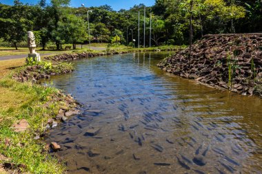 Ribeirao Preto kentindeki Curupira Belediye Parkı, gölü ve yürüyüş yolu ile