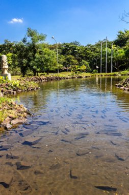 Ribeirao Preto kentindeki Curupira Belediye Parkı, gölü ve yürüyüş yolu ile