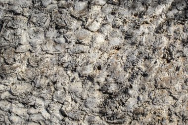 Brezilya 'da sert beton duvar arka planının dokusu