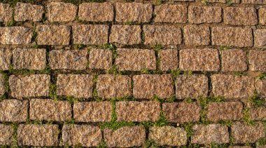 Brezilya 'nın bir şehrinde küçük yeşil bitkilerle, kaldırımlar ve kaldırımlar hakkında farklı açılardan detaylı görüşler.