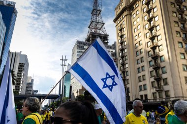 Sao Paulo, SP, Brezilya. 25 Şubat 2024. Jair Bolsonaro destekçileri Sao Paulo Brezilya 'da Paulista Bulvarı' nda bir miting düzenlediler.