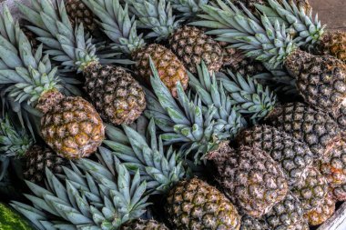 Brezilya 'da yerel bir markette satılık bir avuç olgun ananas.