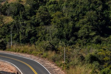 Brezilya 'daki bir dağ sırasındaki Atlantik ormanı ve okaliptüs tarlalarıyla çevrili boş bir kırsal yol manzarası