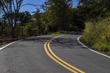 Brezilya 'daki bir dağ sırasındaki Atlantik ormanı ve okaliptüs tarlalarıyla çevrili boş bir kırsal yol manzarası