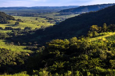 Ormanı, nehri, okaliptüs ağaçları ve çayırları olan güneşli yeşil dağ vadisinin renkli manzarası. Brezilya 'da bulutlu gökyüzünün altındaki sıradağlara karşı. Gün ışığında geniş dağ vadisi.