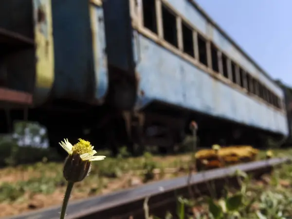 stock image Abandoned, rusty and deteriorated second-class passenger carriage next to the Val de Palmas railway station, also abandoned, in the municipality of Bauru, state of Sao Paulo