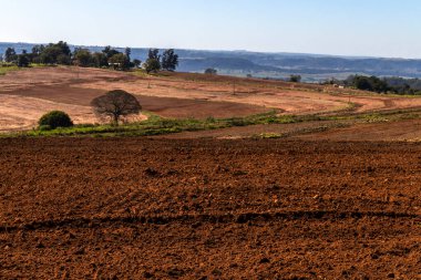 Toprak sürüldü ve Brezilya 'da bir çiftliğe manyok ekmeye hazırlandı.
