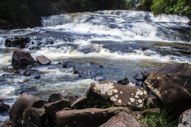Brezilya 'da nehirdeki kayaların arasından çağlayan şelaleler ve su