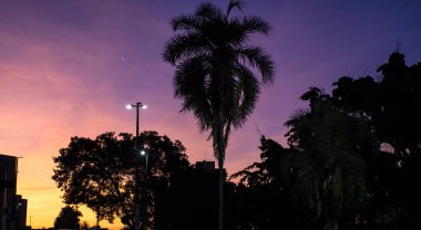 Gün batımı gökyüzü, hilal ay ve Brezilya 'da siluet palmiye ağacı ve şehir
