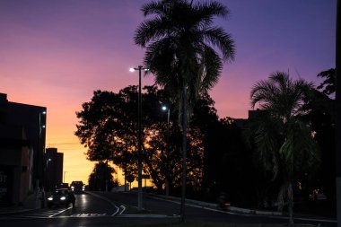 Gün batımı gökyüzü, hilal ay ve Brezilya 'da siluet palmiye ağacı ve şehir