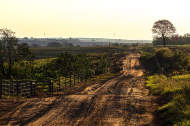 Brezilya 'da arka ışıklandırmalı tel örgülerle çevrili çiftlikleri bölen toprak yol