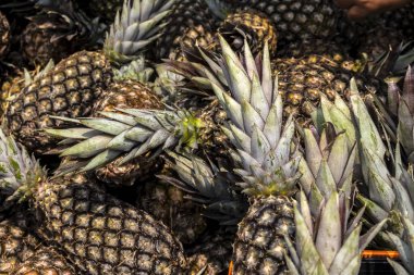 Brezilya 'da yerel bir markette satılık bir avuç olgun ananas.