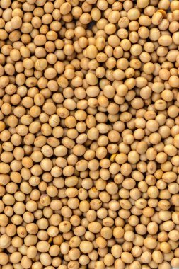 Sarı soya fasulyesi. Arka planda soya fasulyesi deseni var. Çiğ susuz soya fasulyesi dokusu arka plan görünümü.