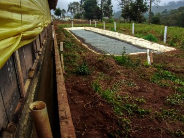 Brezilya 'da küçük bir aile çiftliğinde domuz ve kümes hayvanları çiftliğine dışkı depolama