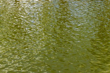 Brezilya 'da bir gölün arka planındaki sakin su yüzeyi. Su yüzeyindeki küçük dalgalanmalar su yüzeyindeki soyut dalgalar. Sığ alan derinliği.