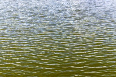 Brezilya 'da bir gölün arka planındaki sakin su yüzeyi. Su yüzeyindeki küçük dalgalanmalar su yüzeyindeki soyut dalgalar. Sığ alan derinliği.